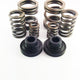 DDP 94-98 Dodge Cummins 5.9L 12V P-Pump 3000 & 4000 RPM Governor Spring Kit